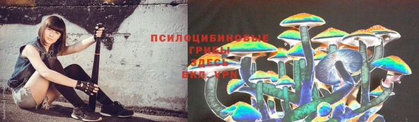 a pvp Алексин