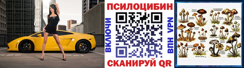 даркнет сайт  Грязовец  Псилоцибиновые грибы мицелий 